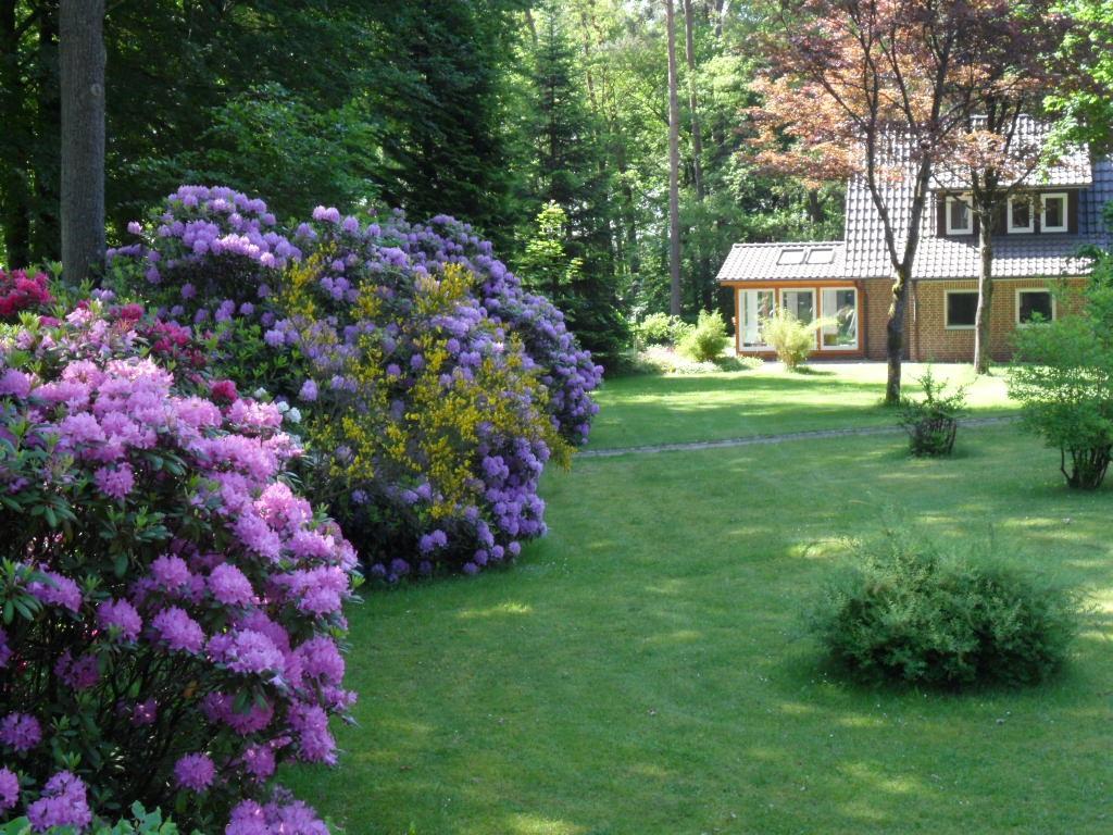 Ferienwohnungen / Ferienhaus Wahlers Биспинген Экстерьер фото